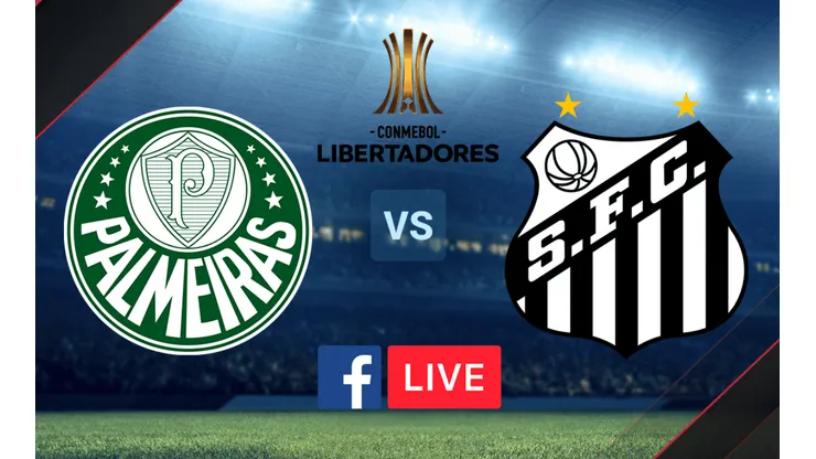 Palmeiras vs. Santos