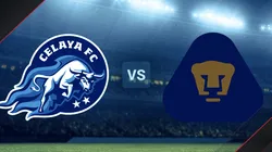 Pumas Tabasco vs. Celaya por la Liga de Expansión MX