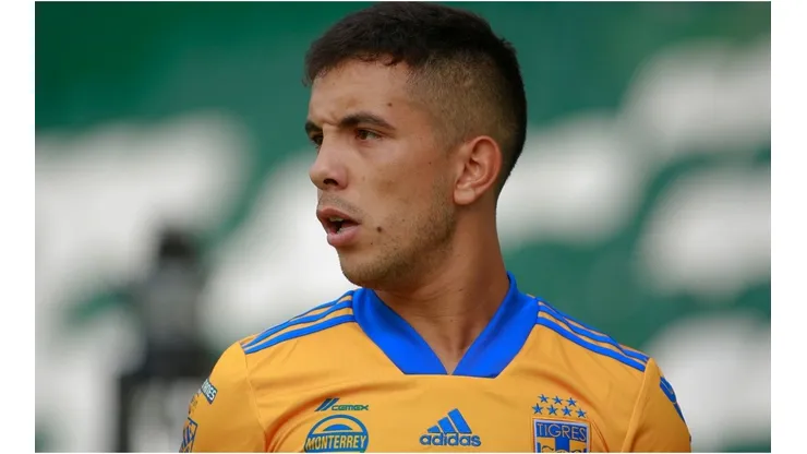Leo Fernández, Tigres