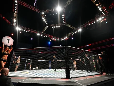 Oficial: la UFC dijo que no sancionará a los peleadores que consuman marihuana