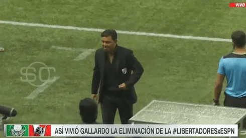 La reacción de Gallardo cuando no dieron el penal a Matías Suárez