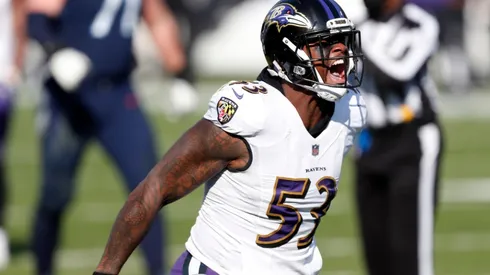 Baltimore Ravens avanzó a la Ronda Divisional (Foto: Getty)