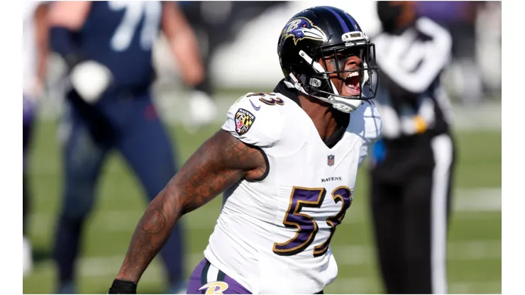 Baltimore Ravens avanzó a la Ronda Divisional (Foto: Getty)