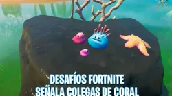 Dónde están los Colegas de Coral en Fortnite - Desafíos Semanales