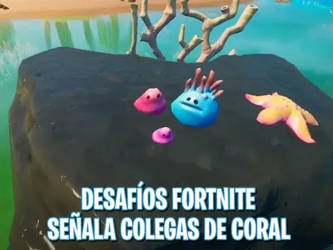 Dónde están los Colegas de Coral en Fortnite - Desafíos Semanales