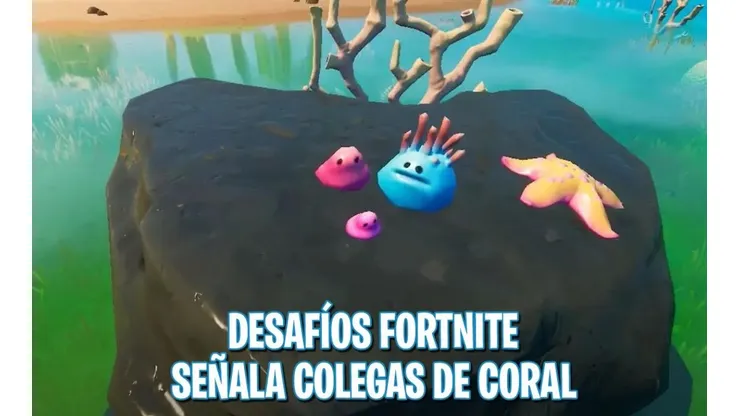 Dónde están los Colegas de Coral en Fortnite - Desafíos Semanales