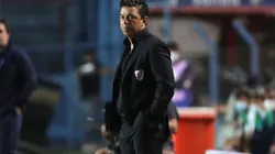 Superclásico o Libertadores: Gallardo confirmó qué partido priorizará