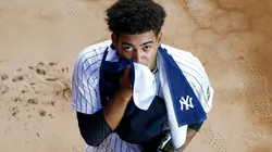 Deivi Garcia, pitcher de los New York Yankees