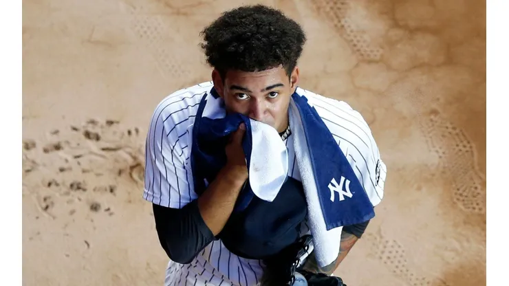 Deivi Garcia, pitcher de los New York Yankees