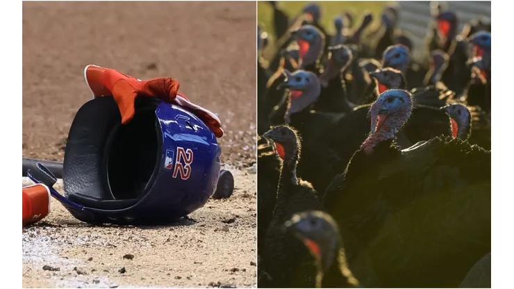 Casco de la MLB y un pavo