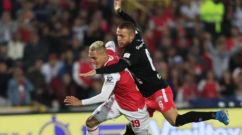 Escarlatas y Cardenales