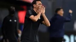 Lionel Scaloni, técnico de la Selección Argentina.