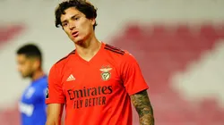 Barcelona quiere revancha y vuelve a fijarse en Darwin Núñez