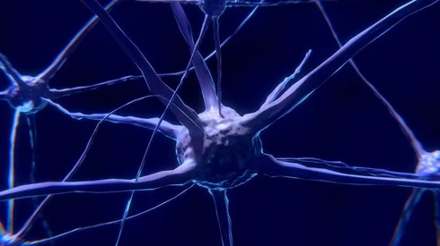 Neuralink: el nuevo invento multimillonario de Elon Musk