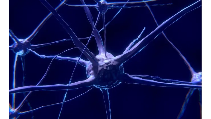 Neuralink: el nuevo invento multimillonario de Elon Musk