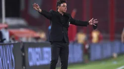 Marcelo Gallardo, director técnico de River.