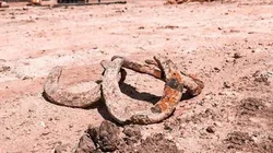 Aparecieron tres herraduras de más de 120 años en el Monumental