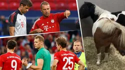 Müller se burló de su DT y compañeros comparándolos con caballos