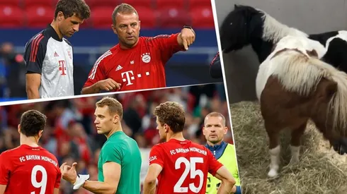 Müller se burló de su DT y compañeros comparándolos con caballos