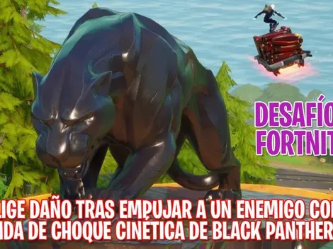 Inflige daño tras empujar a un enemigo con Onda de choque cinética de Black Panther en Fortnite
