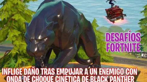 Inflige daño tras empujar a un enemigo con Onda de choque cinética de Black Panther en Fortnite