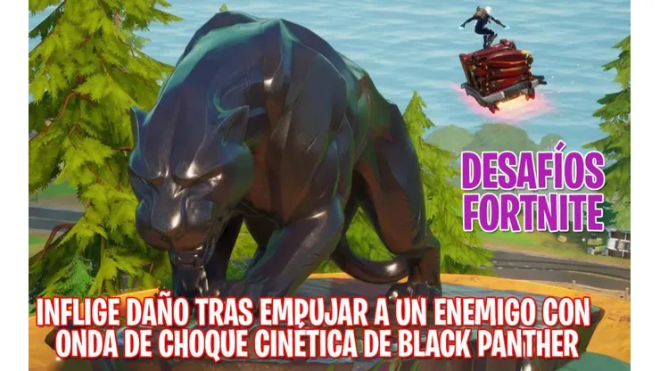 Inflige daño tras empujar a un enemigo con Onda de choque cinética de Black Panther en Fortnite