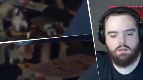 Video viral: la perra de Ibai le roba la pizza mientras miraba la FMS en stream