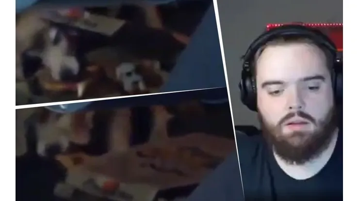 Video viral: la perra de Ibai le roba la pizza mientras miraba la FMS en stream