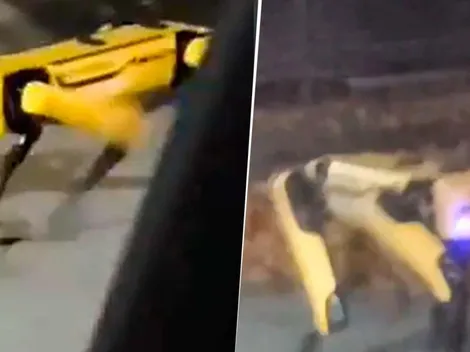 Video viral: nos da mucho miedo este animal robot diabólico