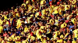 Hinchas de la Selección Colombia deberán seguir esperando para volver a ver al equipo en el Metropolitano.