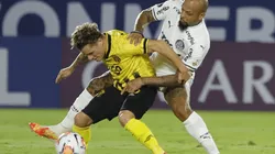 EN VIVO: Guaraní vs. Palmeiras por la Copa Libertadores