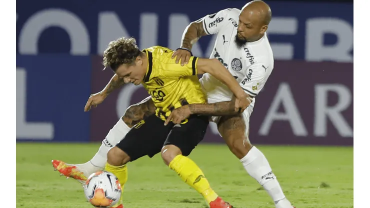 EN VIVO: Guaraní vs. Palmeiras por la Copa Libertadores