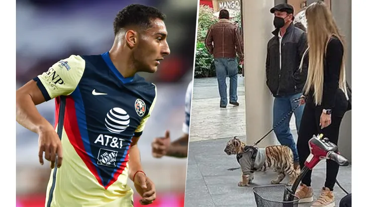 La pareja de Sebastián Cáceres tiene un tigre como mascota