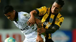 Peñarol vs. Wanderers: (Foto: Twitter @OficialCAP)