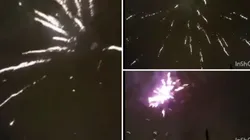 Los fuegos artificiales afectan también a las mascotas.
