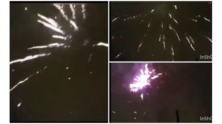 Los fuegos artificiales afectan también a las mascotas.
