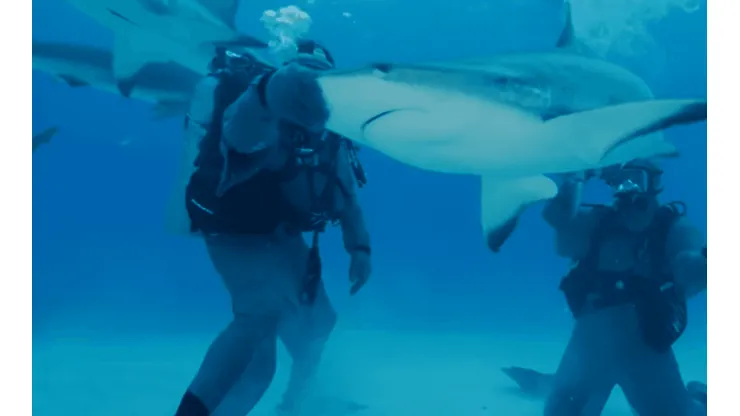 Mike Tyson nadó con tiburones (Captura de pantalla)