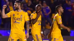 Los Felinos ya tienen todo confirmado para afrontar el Torneo Guard1anes 2020 (Foto: JAM)