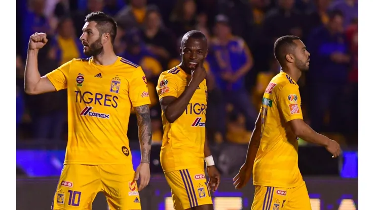 Los Felinos ya tienen todo confirmado para afrontar el Torneo Guard1anes 2020 (Foto: JAM)
