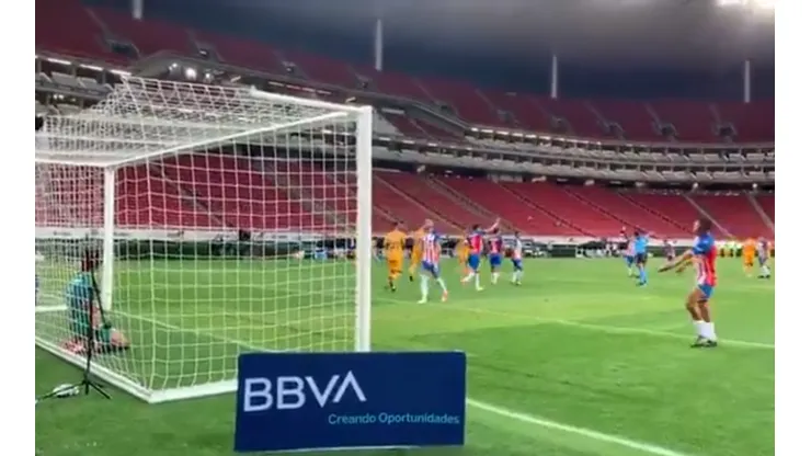 Foto: Captura de @TigresOficial