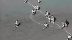 Asistencia exquisita de Norberto Alonso.