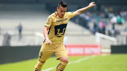 Lo espera el Club Real San José: Marcelo Alatorre jugará en la LBM