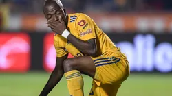 No va más: Valencia se despide de Tigres