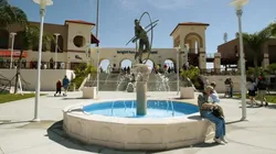 Se paraliza la actividad de Grandes Ligas en Florida