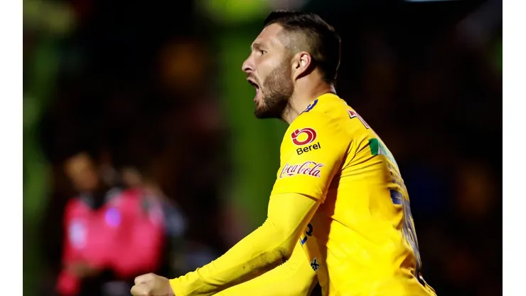 Lo de André-Pierre Gignac con Tigres fue un amor a primera vista