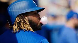 Vladimir Guerrero Jr. (Getty Images).