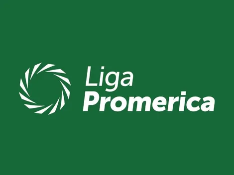 Así quedó la tabla de posiciones final de la Liga Promerica
