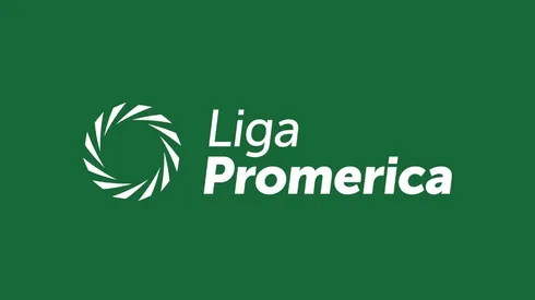 Así quedó la tabla de posiciones final de la Liga Promerica
