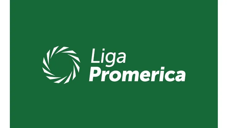 Así quedó la tabla de posiciones final de la Liga Promerica