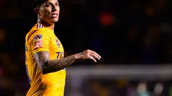 Tigres está de luto.